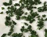 乾燥パセリの作り方・保存作り方3写真