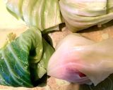 簡単!鶏ひき肉のロールキャベツ作り方6写真