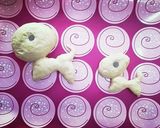 簡単90分☆可愛い「チョコ犬パン」作り方13写真