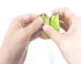 ブレンダ—でアボカドバナナスムージー作り作り方4写真