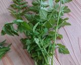 野草味噌作り方4写真