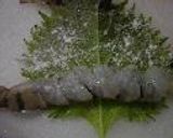 お弁当記録：5/7～作り方16写真