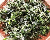 材料費ゼロ！ ハーブの王様 よもぎ茶♪作り方1写真