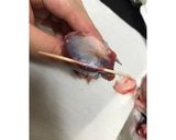 ☆ 簡単 材料3つ 砂肝 ☆作り方1写真