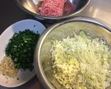 シンプルだから何個でも！野菜たっぷり餃子作り方1写真