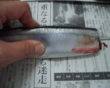 さんま ウスター&マスタードの香り揚げ作り方1写真