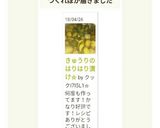 きゅうりのはりはり漬け☆作り方7写真