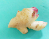 簡単❤新生姜と豚肉のさっぱり塩炒飯作り方5写真