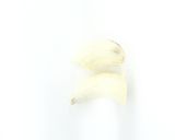 プロテイングリーンスムージー|ブレンダー作り方7写真