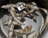 いりこ（煮干し）で栄養満点✨️豆腐とわかめの味噌汁作り方1写真