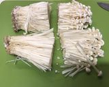 ごま香る☆サッと出しおつまみ作り方1写真