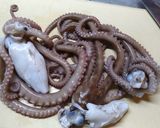 韓国風！手長たこの甘辛炒めで酒☆米☆麺☆作り方7写真