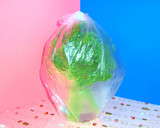 ☆パセリを長持ちさせよう～♪（保存法）作り方3写真