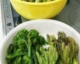 さしぼ&タラの芽&コゴミの下処理と天ぷら作り方1写真