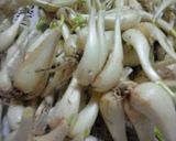 らっきょうの梅酢漬け作り方1写真