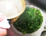 春の味覚*葉わさび*のお浸し作り方2写真