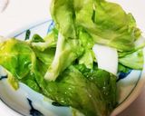 酢キャベツでデブ菌退治✳春キャベツ☆菌活作り方5写真