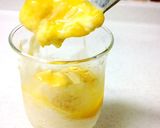簡単グレープフルーツフラペチーノ作り方13写真