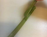 ふきと油揚げの煮物作り方8写真