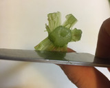 ふきと油揚げの煮物作り方10写真