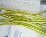 ☆旬の味！ふきと鶏肉の炊いたん☆☆☆作り方1写真