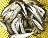 小鮎の南蛮漬け♫作り方1写真