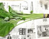 葉ゴボウの葉の炒り煮(アク抜き方法付）作り方1写真