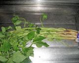 根三つ葉と豆腐のいなり風煮びたし作り方2写真