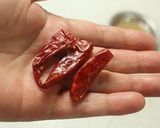 自家製！　カレー粉の作り方♪作り方4写真