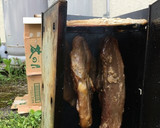 伐採した枝で自家製燻製。作り方4写真