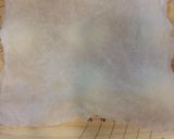 サクサク宇治抹茶メロンパン作り方5写真