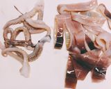 居酒屋おつまみ♪スルメイカの唐揚げ作り方5写真