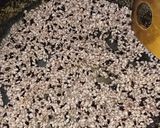 贅沢すぎる！発芽玄米グラノーラ(^^)v作り方3写真