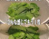 美味ドレのバリバリサラダとレンジ刻み大葉作り方2写真