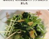 水菜とほうれん草のなめ茸和え作り方7写真
