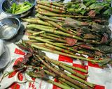 イタドリ＊下処理と炒め煮。作り方1写真