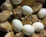ポン酢でさっぱり☆簡単！鶏モモの照り煮作り方7写真