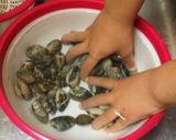 あさりのお味噌汁^_^砂抜きはしっかり！作り方2写真