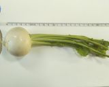 かぶがとろける＊やさしい鮭の和風スープ＊作り方1写真