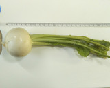 かぶがとろける＊やさしい鮭の和風スープ＊作り方1写真