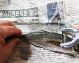 簡単！魚のうろこ取り作り方1写真