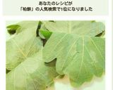 こどもの日に作りたい♥もちもち基本の柏餅作り方12写真