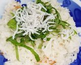 グルラボでしらすと梅干しのおこわ作り方4写真