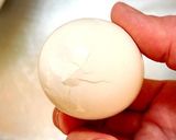 めんつゆグッジョブ！玉子編作り方4写真