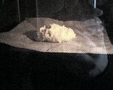 簡単なさっぱりしたパン★作り方3写真