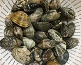 あさりの酒蒸し〜パクチー風味〜作り方1写真