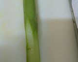 ５分で簡単！アスパラとツナマヨの包み焼き作り方1写真