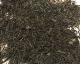自家製緑茶作り方5写真