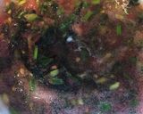 サラダ菜でヘルシー牛肉ケバブ！作り方4写真