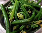 オニヒカゲワラビのシーチキン和え作り方6写真